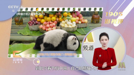邻居的妻子
